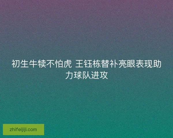 初生牛犊不怕虎 王钰栋替补亮眼表现助力球队进攻